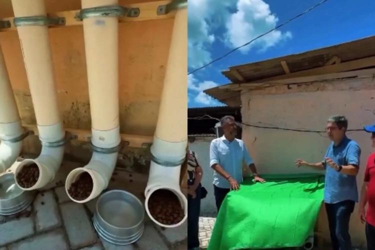Randolfe vira alvo de piadas após inaugurar comedouro de PVC para pets